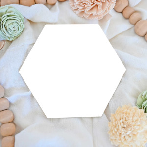 Hexagon Baby Markers