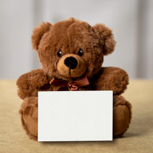 Teddy Bear with Canvas Message Card