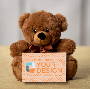 Teddy Bear with Canvas Message Card